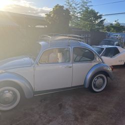 Vw Bug