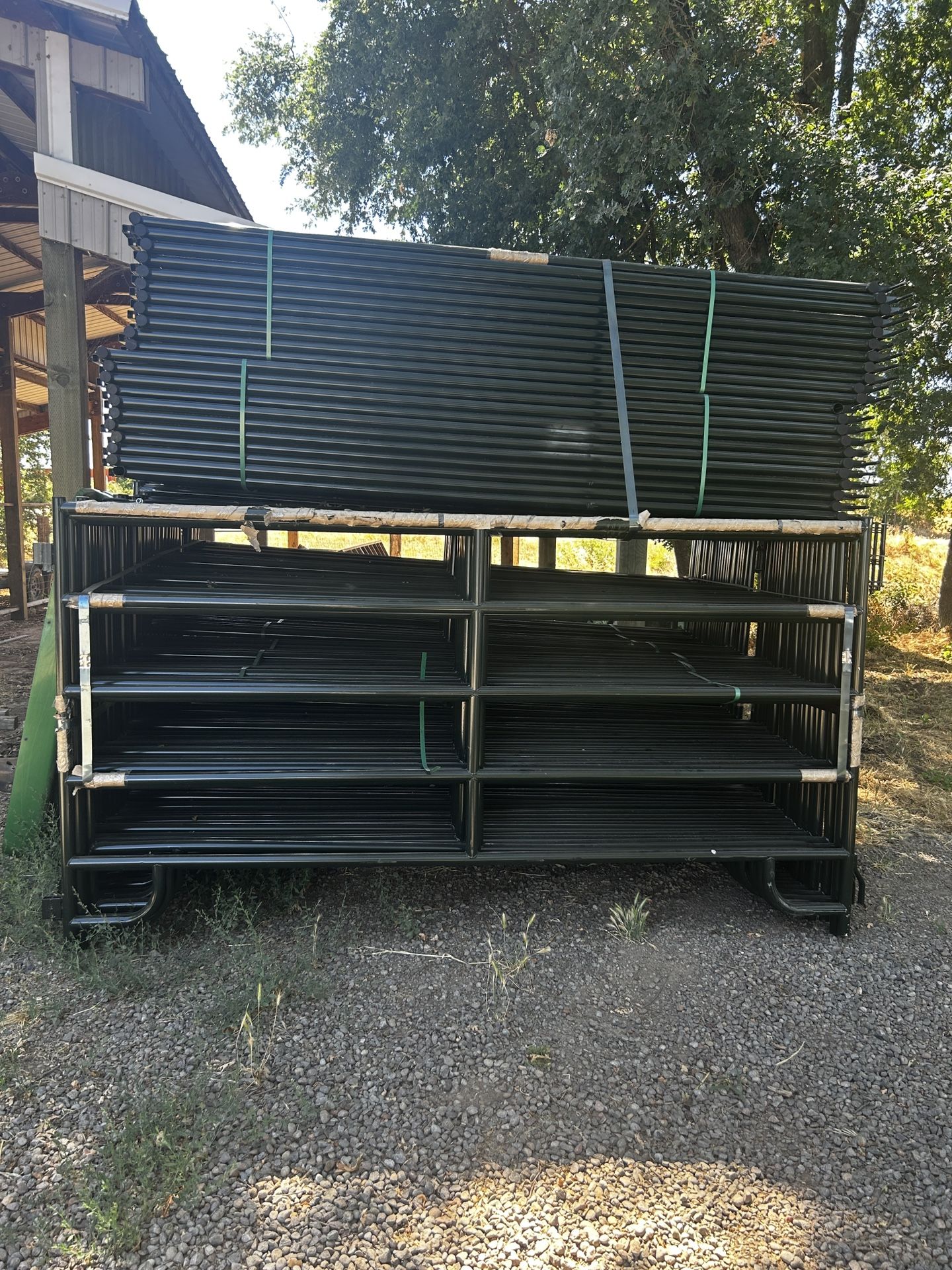 Cattle Fencing (50)