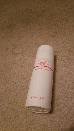 Coach bag cleaner