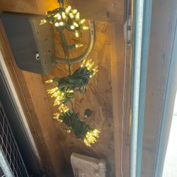 New Christmas Lights 