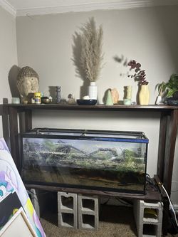 55 Gallon Fish Tank And Stand