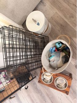 Dog Items