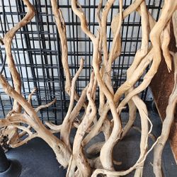 Driftwood Plants Stones 