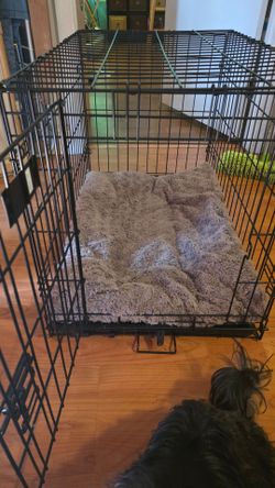 Foldable Dog or Cat Crate