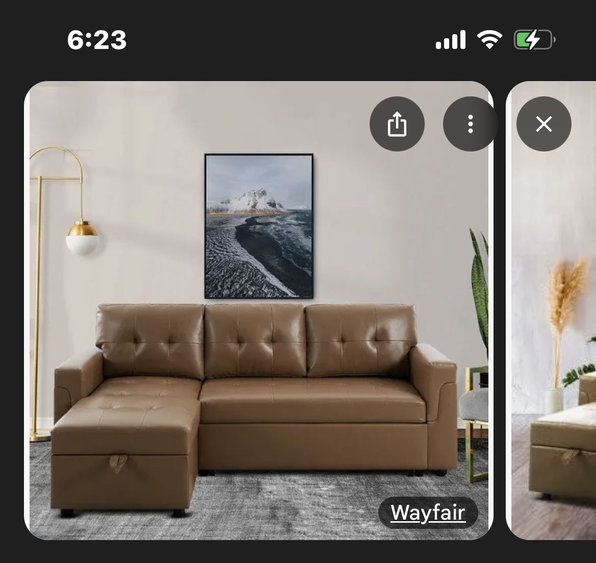 Single Family Couch