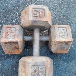 45 Pounds Dumbbells