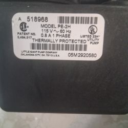 Little Giant Submersable Pump