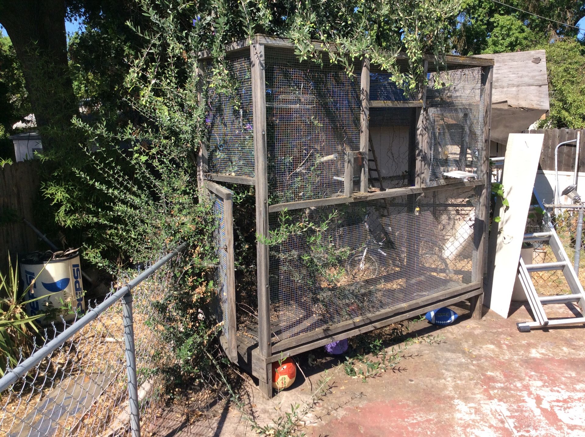 Large Outdoor/patio aviary. 7ft tall 7ft long 31” wide. Features two ...