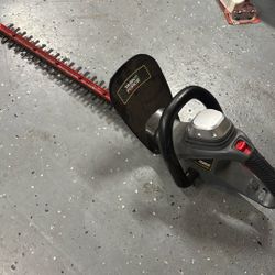 Task Force Electric Hedger