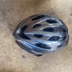 Schwinn Helmet