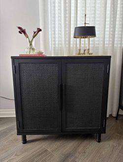 2 Door Black Rattan Accent Cabinet with Shelf