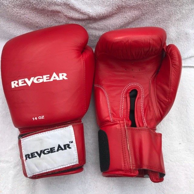 Redgear pro boxing gloves