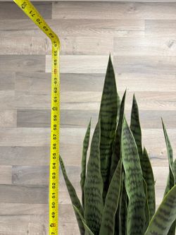 Artificial plant