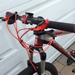Momentum Mountain Bike