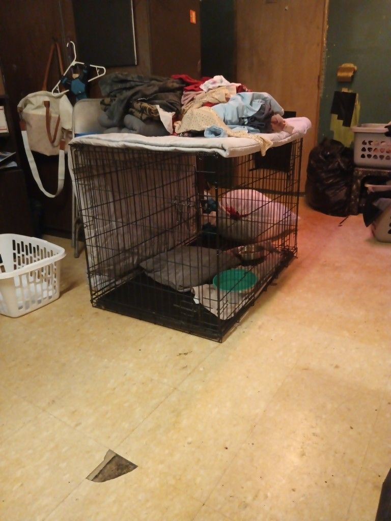 Large dog cage/kennel $50 obo