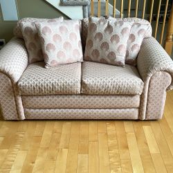Love seat and pillows 