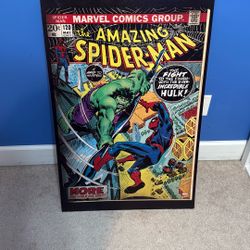 Amazing Spiderman Vs Hulk Marvel Comics Group Poster 