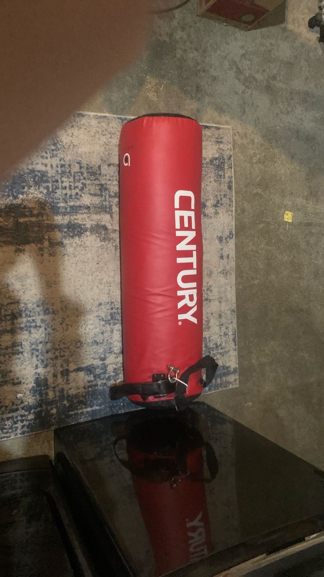 Century Brave Heavy Bag