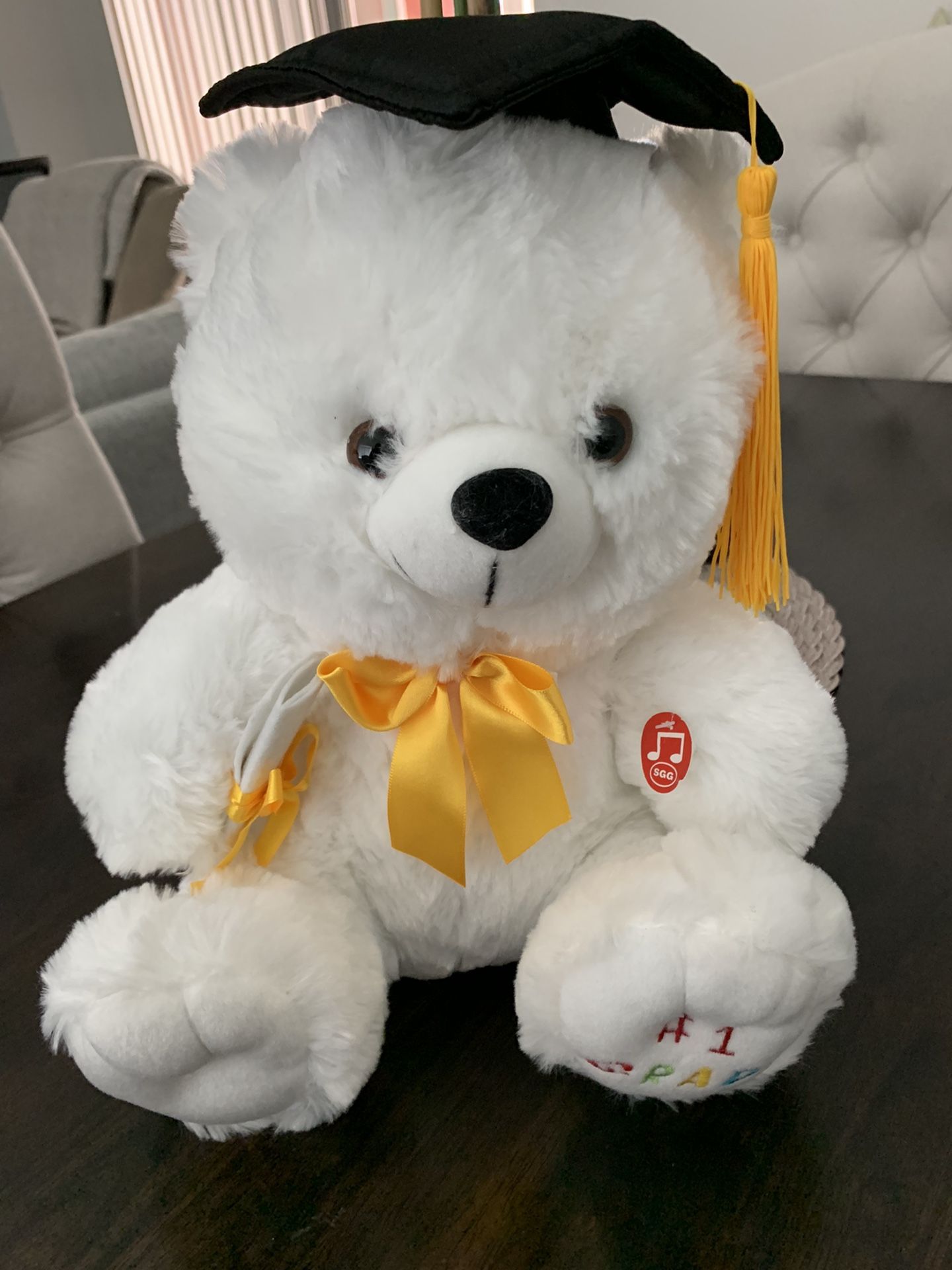 Graduation Teddy Bear