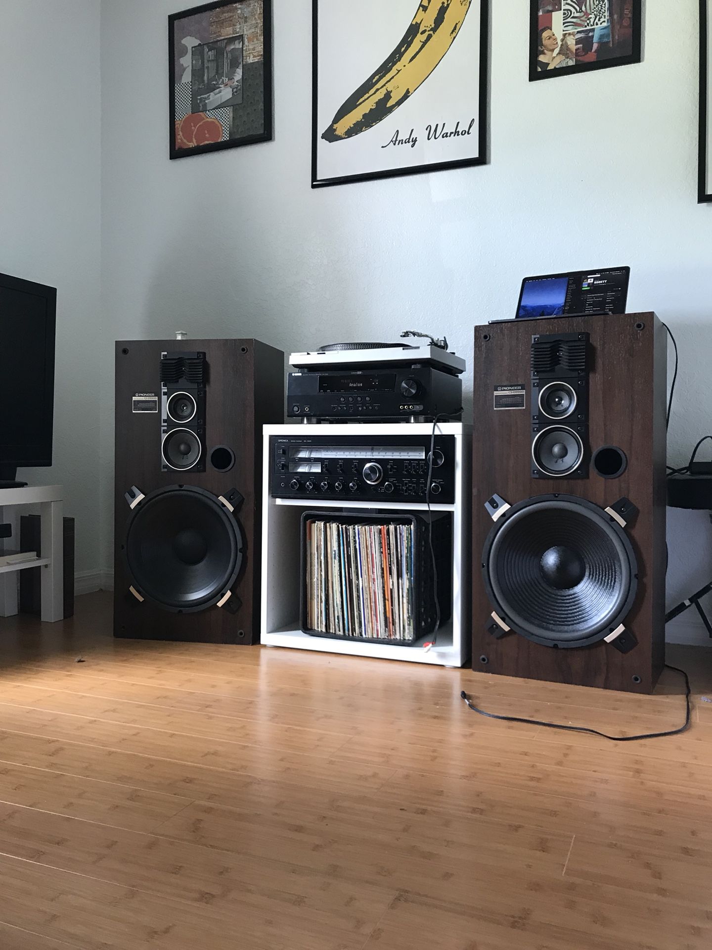 pioneer cs-d9900 loudspeakers