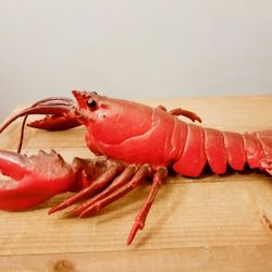 Realistic Rubber Lobster Toy Prop Marine Animal Lobster Toy Animal Educational Child