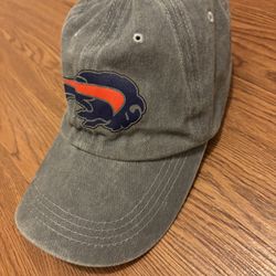 Buffalo Bills Gray Arc  Cap
