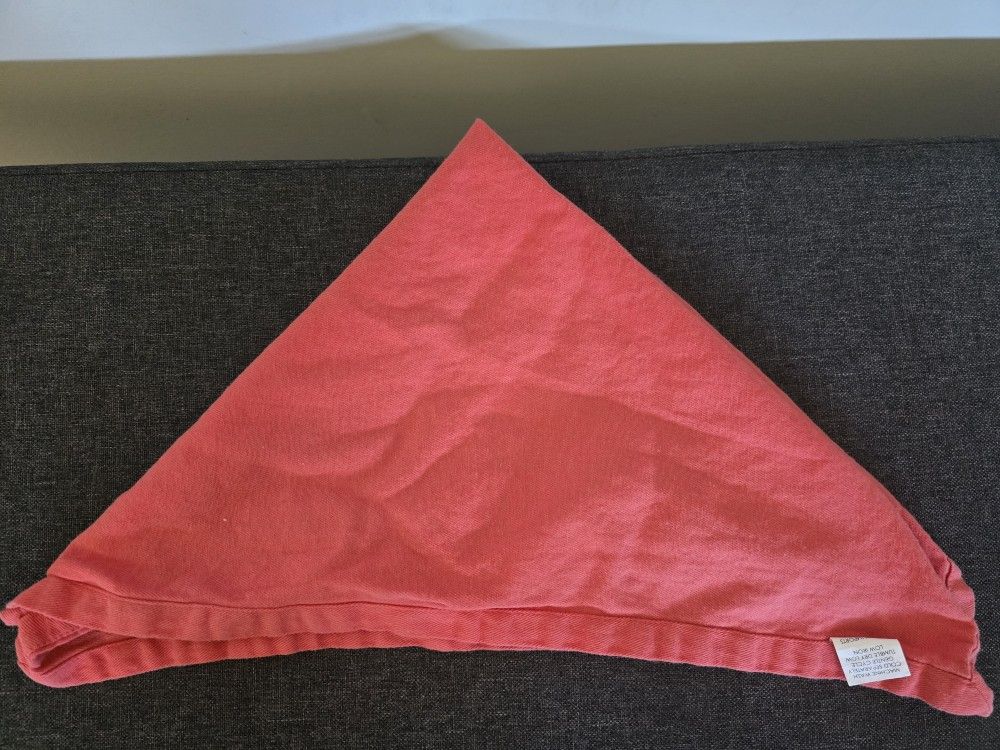 Cloth Napkins (Coral) & Teal Chair Ties