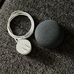 Google Home Mini