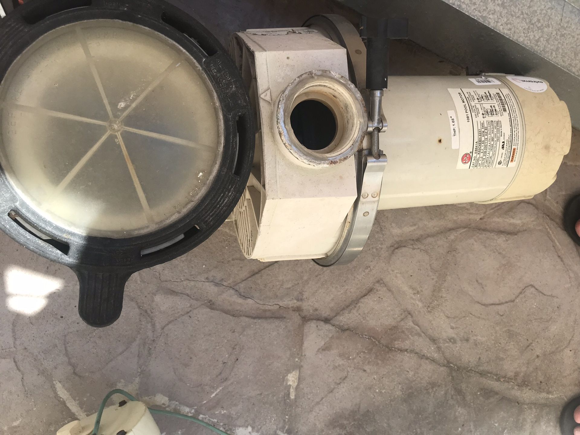 Purex triton ultraflow pump for Sale in Los Angeles, CA OfferUp