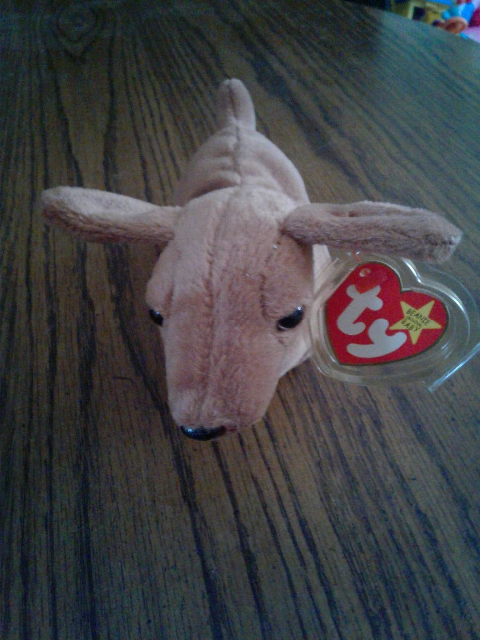 1995 TY Beanie Babies and Buddy