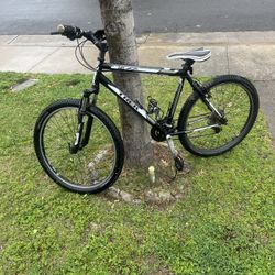Trek Single Series Bike