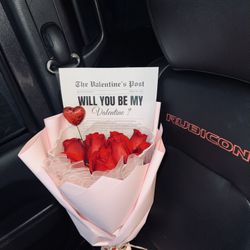 Valentine’s day proposal 