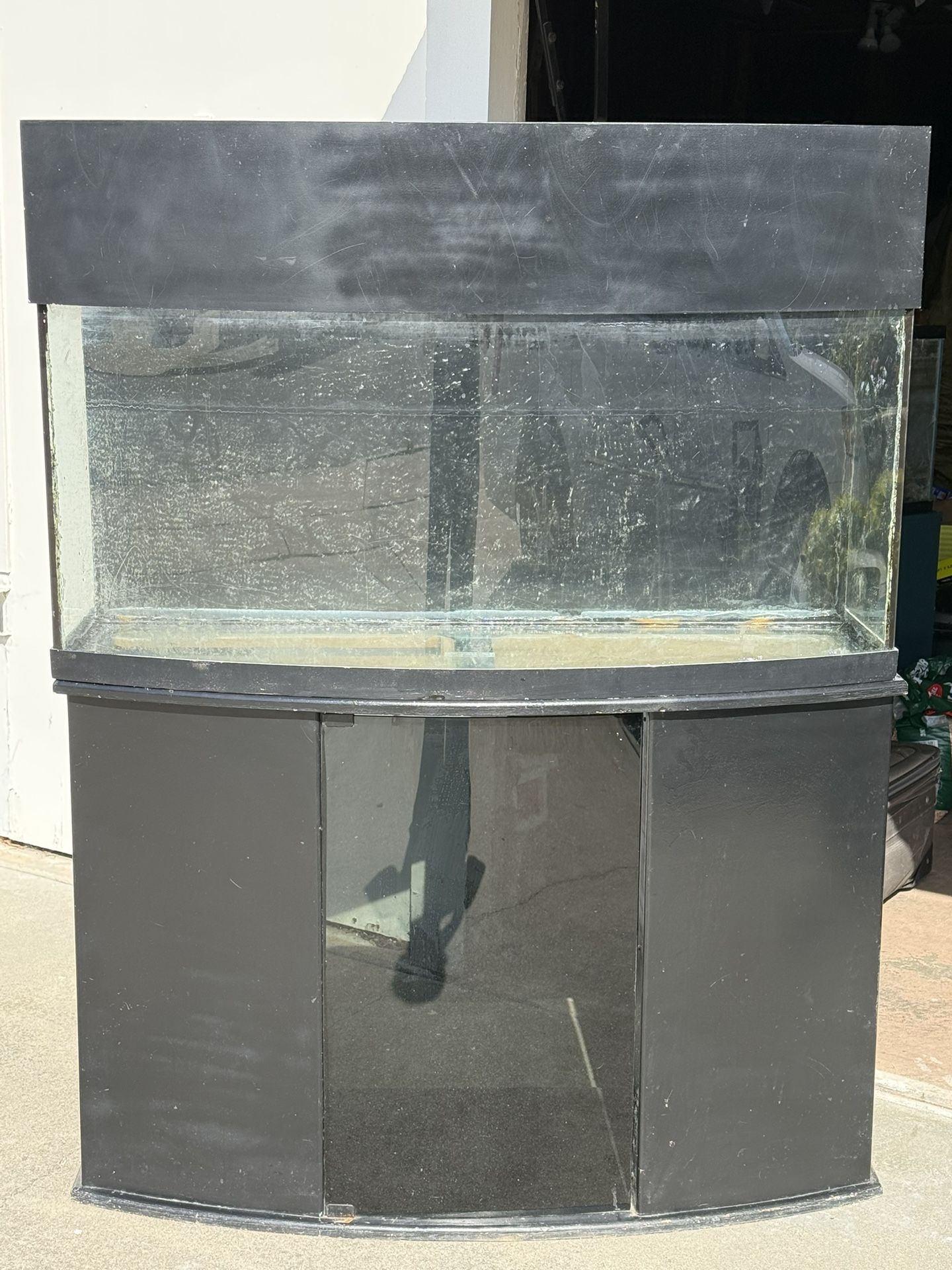 75 Gallon Bow Front Aquarium