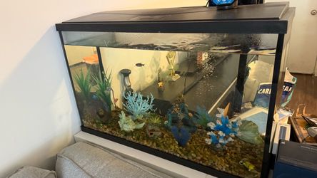Fish tank