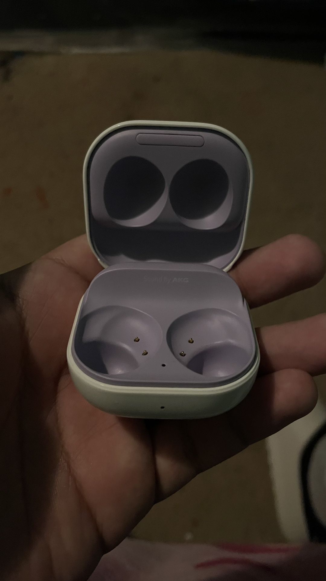 Galaxy Buds2+ Case Only