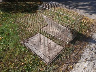 Dog cages $35 each