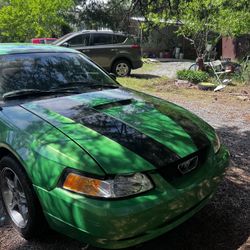 Mustang
