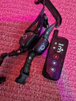 Dog Training Collor, 