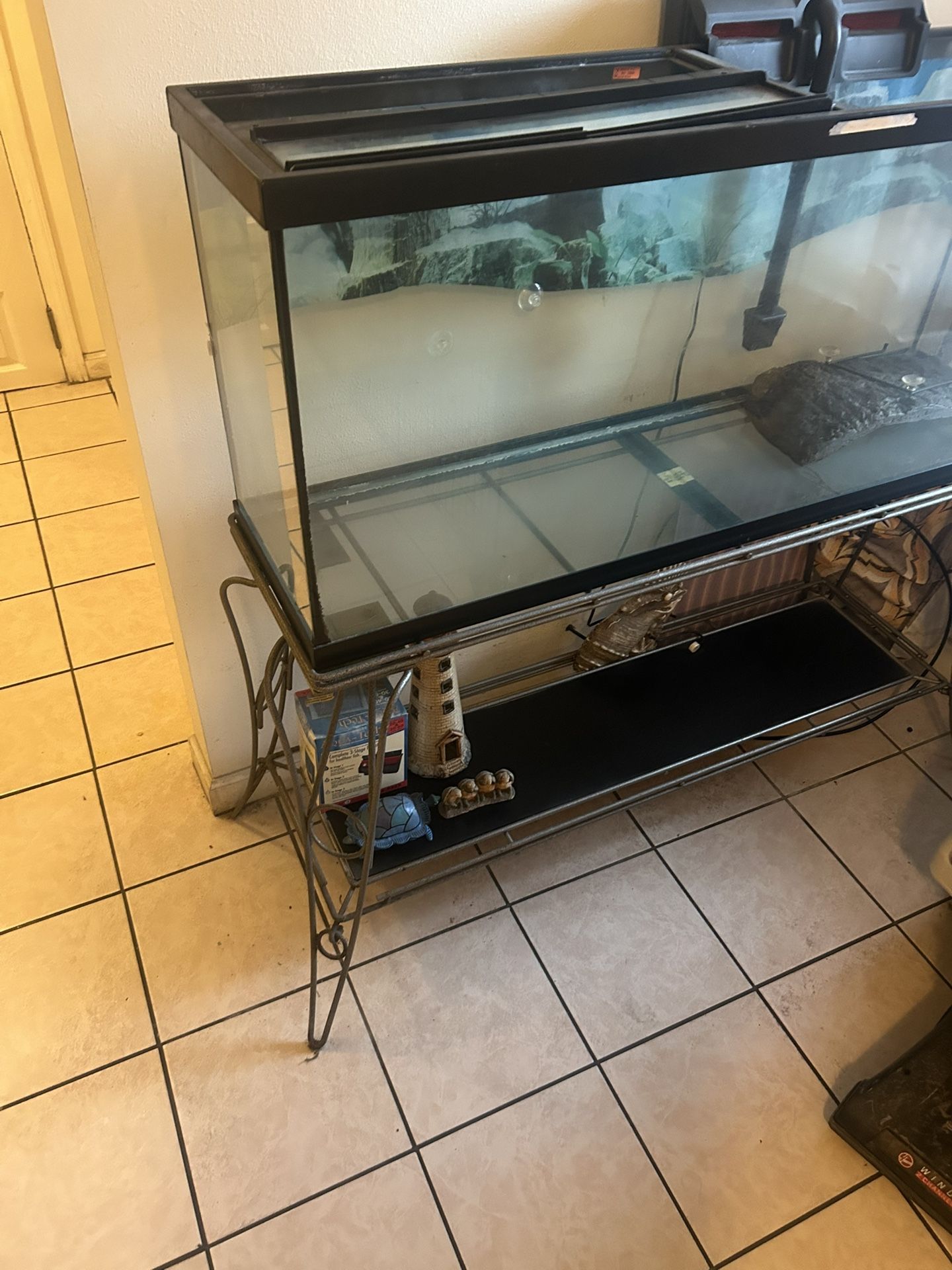 Turtle Tank With Turtle Food