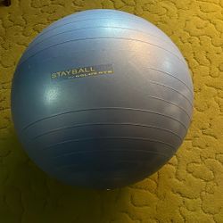 Workout Ball