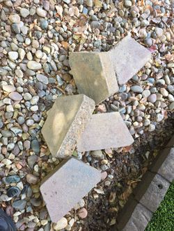 Bricks