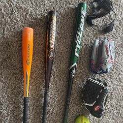 Youth baseball/softball 