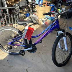 Girls Brand New bike
