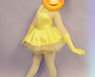 Adult Small Ballet Costume