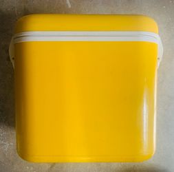 COOLER (Ingrid) - 30 quart - 16 x 16 x 11” - Handles