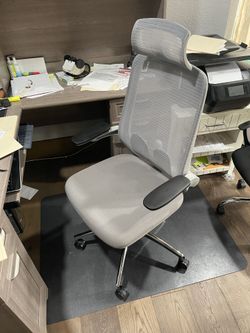 Office Chairs 