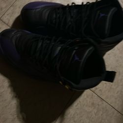 Air Jordan 12