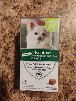 Small Dog Flea Treatment