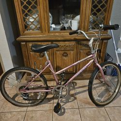 Vintage 1980s Schwinn Ms.Enduro Bike