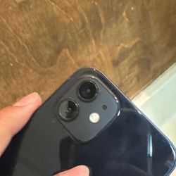 Apple12